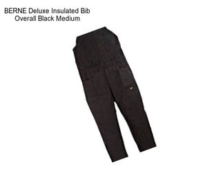 BERNE Deluxe Insulated Bib Overall Black Medium