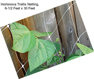 Hortonova Trellis Netting, 6-1/2 Feet x 30 Feet