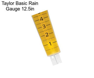 Taylor Basic Rain Gauge 12.5in