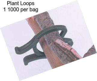 Plant Loops 1\