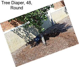 Tree Diaper, 48\