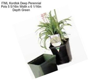 ITML Kordlok Deep Perennial Pots 5 5/16in Width x 6 1/16in Depth Green