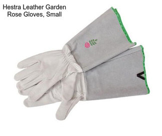 Hestra Leather Garden Rose Gloves, Small