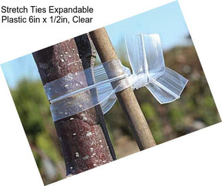 Stretch Ties Expandable Plastic 6in x 1/2in, Clear