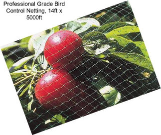 Professional Grade Bird Control Netting, 14ft x 5000ft