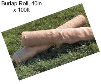 Burlap Roll, 40in x 100ft