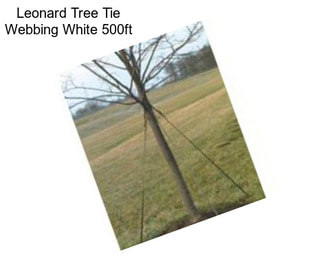 Leonard Tree Tie Webbing White 500ft