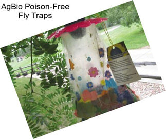 AgBio Poison-Free Fly Traps