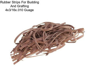 Rubber Strips For Budding And Grafting 4\