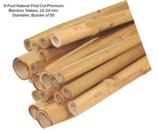 8-Foot Natural First Cut Premium Bamboo Stakes, 22-24 mm Diameter, Bundle of 50