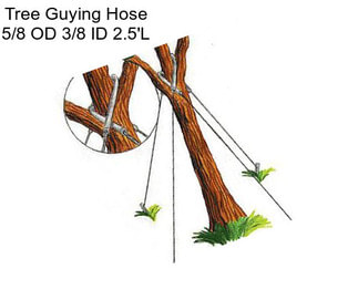 Tree Guying Hose 5/8\