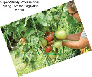 Super-Sturdy Professional Folding Tomato Cage 48in x 15in