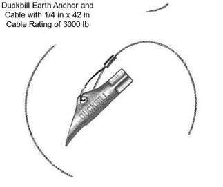 Duckbill Earth Anchor and Cable with 1/4 in x 42 in Cable Rating of 3000 lb