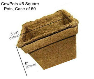 CowPots #5 Square Pots, Case of 60