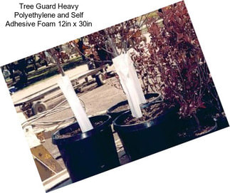 Tree Guard Heavy Polyethylene and Self Adhesive Foam 12in x 30in