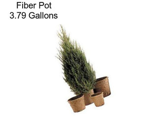 Fiber Pot 3.79 Gallons