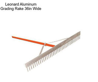 Leonard Aluminum Grading Rake 36in Wide