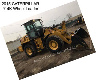 2015 CATERPILLAR 914K Wheel Loader