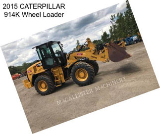 2015 CATERPILLAR 914K Wheel Loader