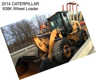 2014 CATERPILLAR 938K Wheel Loader