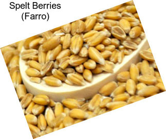 Spelt Berries (Farro)