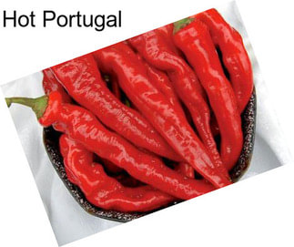 Hot Portugal