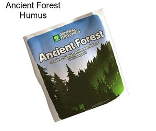 Ancient Forest Humus