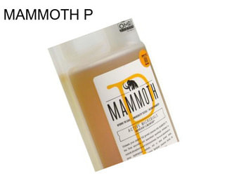 MAMMOTH P