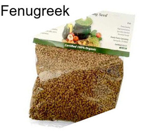 Fenugreek