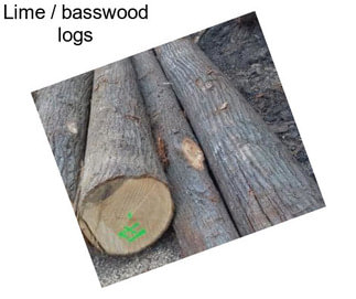 Lime / basswood logs