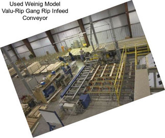 Used Weinig Model Valu-Rip Gang Rip Infeed Conveyor