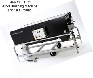 New CEETEC A250 Brushing Machine For Sale Poland