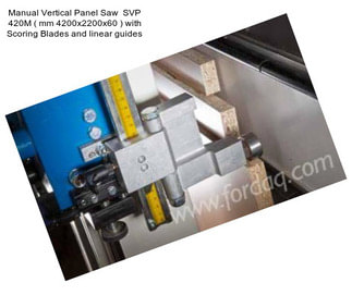 Manual Vertical Panel Saw  SVP 420M ( mm 4200x2200x60 ) with Scoring Blades and linear guides