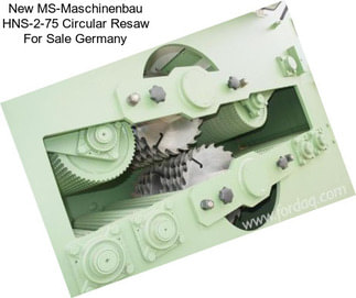 New MS-Maschinenbau HNS-2-75 Circular Resaw For Sale Germany