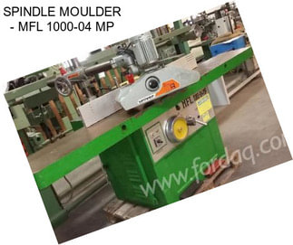 SPINDLE MOULDER - MFL 1000-04 MP