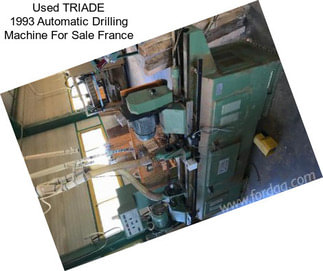 Used TRIADE 1993 Automatic Drilling Machine For Sale France