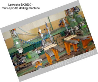 Lewecke BK3500 - multi-spindle drilling machine