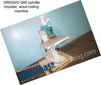 GRIGGIO G60 spindle moulder, wood milling machine