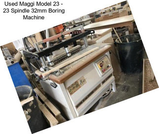 Used Maggi Model 23 - 23 Spindle 32mm Boring Machine