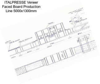 ITALPRESSE Veneer Faced Board Production Line 5000x1300mm