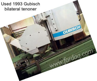 Used 1993 Gubisch bilateral tenoner