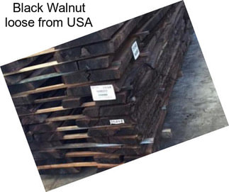 Black Walnut loose from USA
