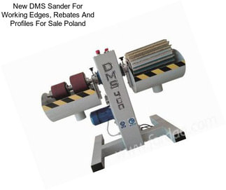 New DMS Sander For Working Edges, Rebates And Profiles For Sale Poland