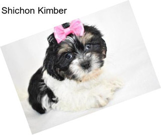 Shichon Kimber