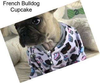 French Bulldog Cupcake