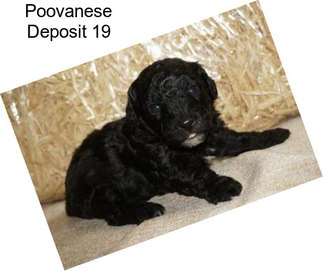 Poovanese Deposit 19