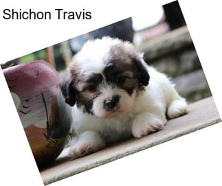 Shichon Travis