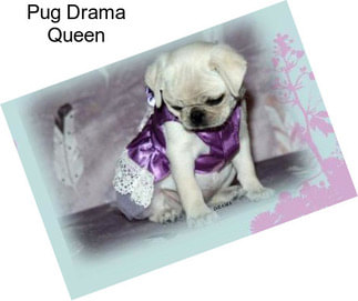 Pug Drama Queen