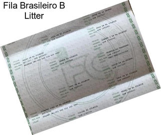 Fila Brasileiro B Litter