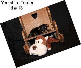 Yorkshire Terrier Id # 131